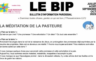 Le BIP de juillet à octobre