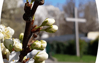 Voici je fais toutes choses nouvelles. 