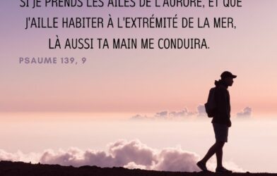 Nos cultes de cet été 